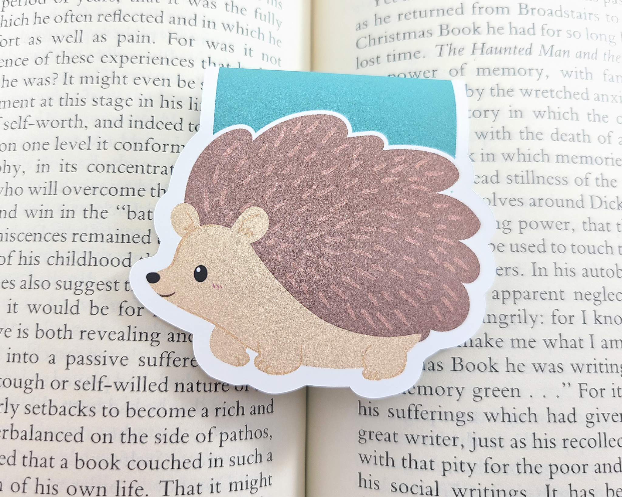 Hedgehog Magnetic Bookmark