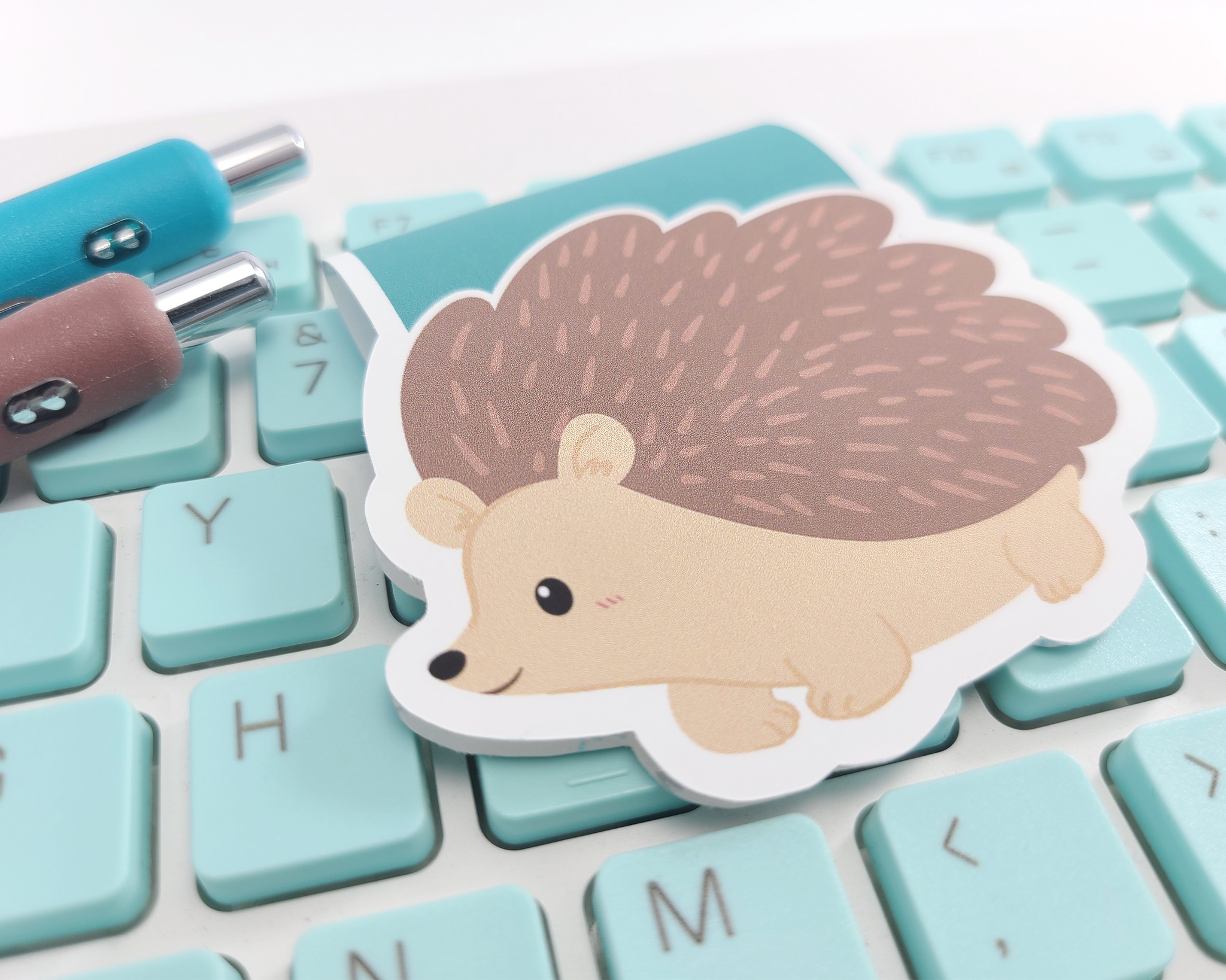 Hedgehog Magnetic Bookmark