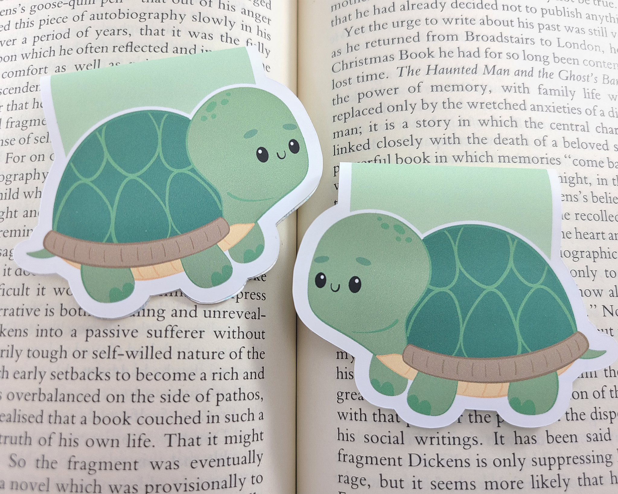 Turtle Magnetic Bookmark