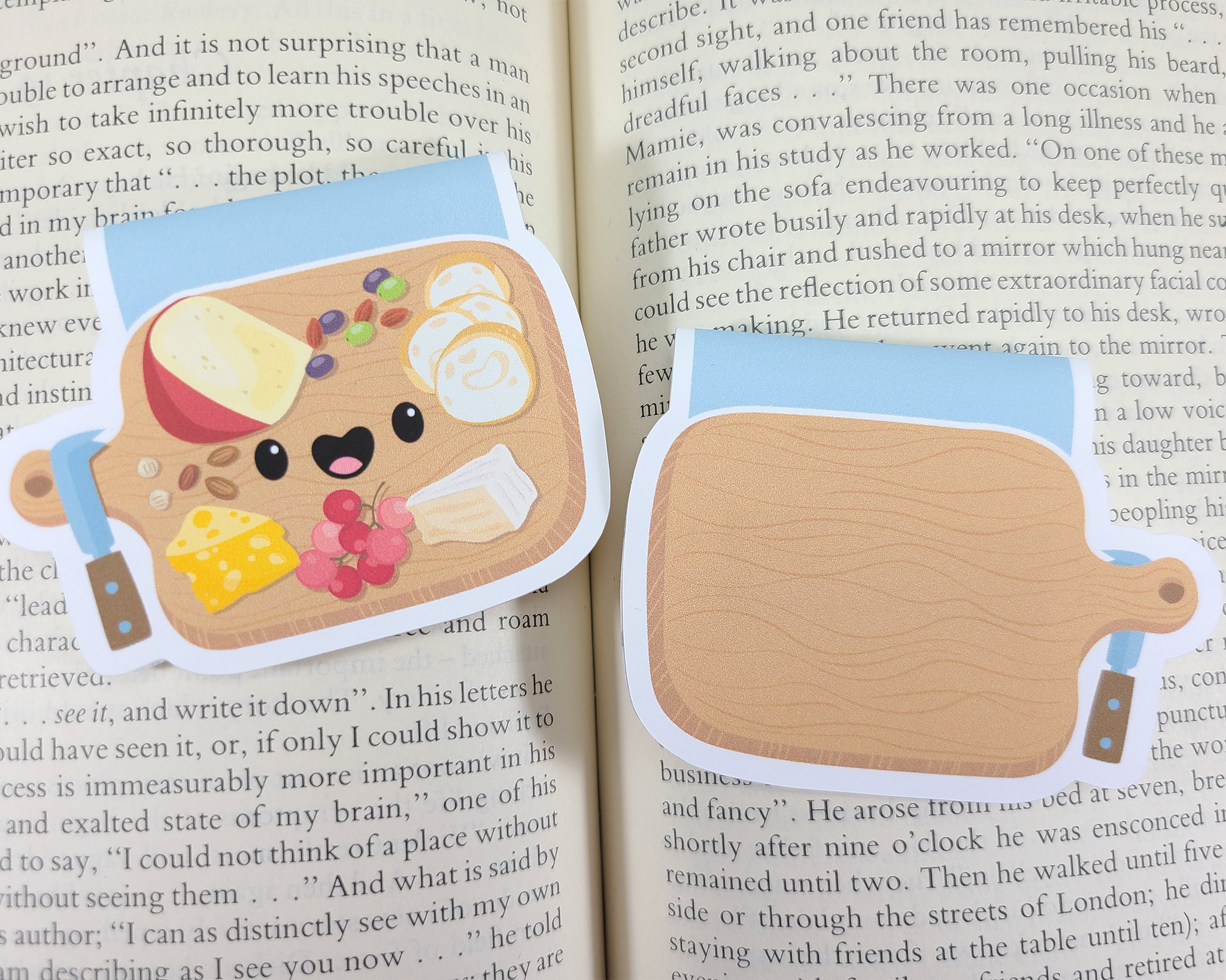 Charcuterie Magnetic Bookmark